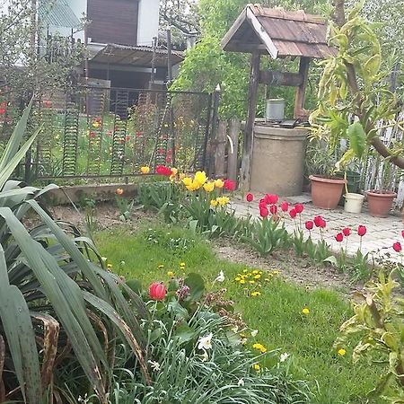 Álom Kuckó Apartman Zalaegerszeg Exterior foto