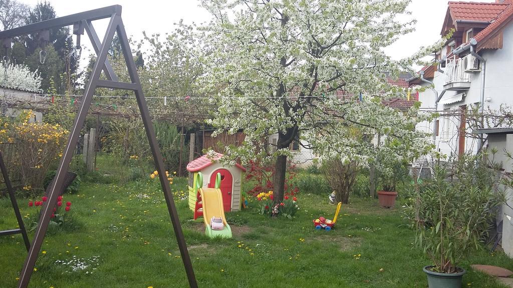 Álom Kuckó Apartman Zalaegerszeg Exterior foto